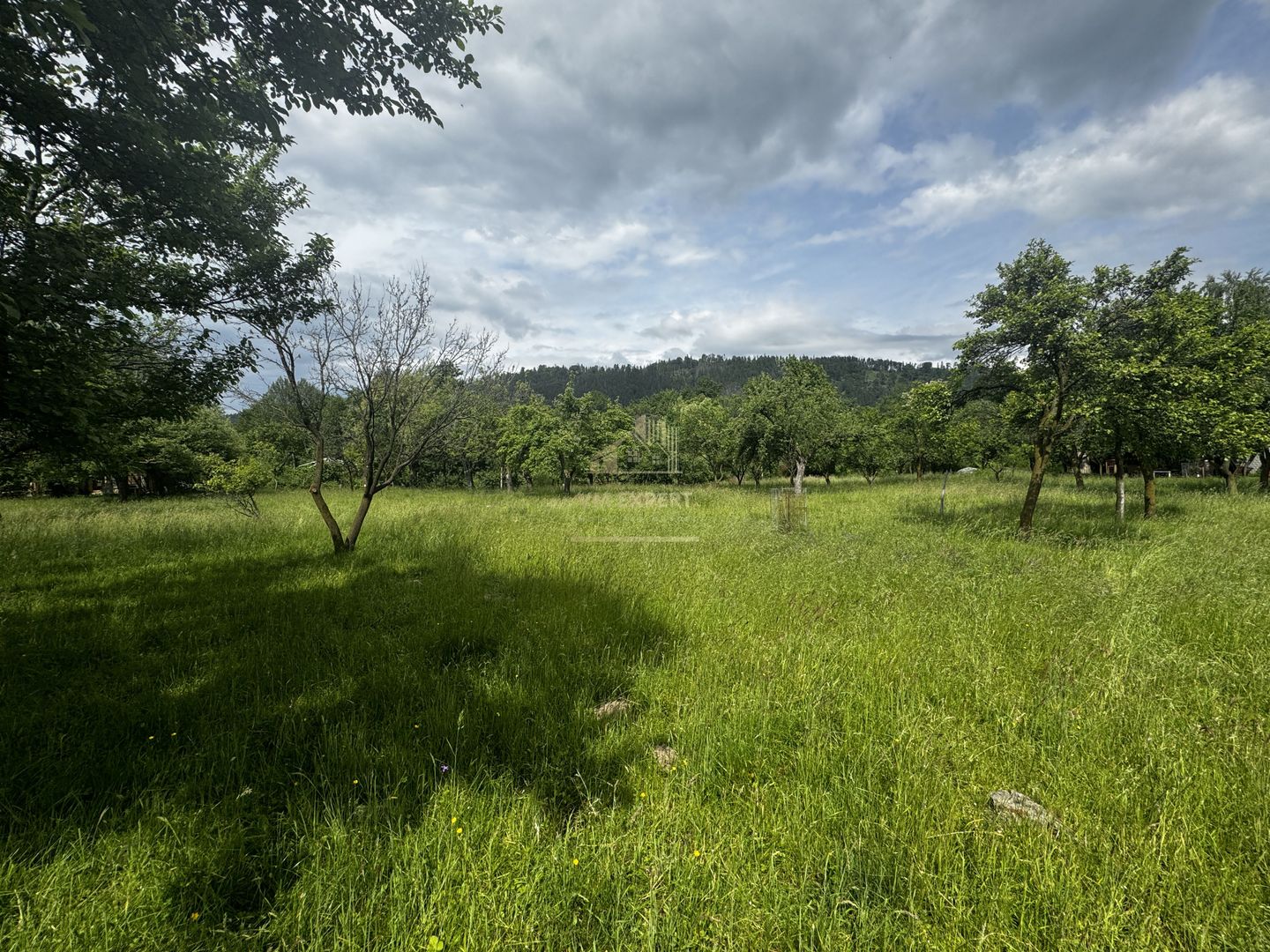 TEREN INTRAVILAN 4600 MP, VOINESTI, LERESTI, ARGEȘ - Poză 14