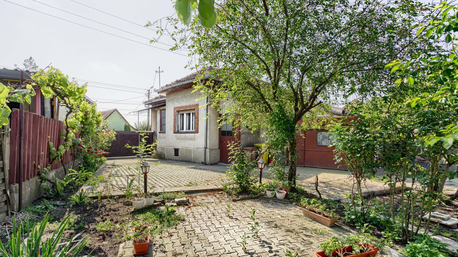 Casa in Gradiste - PROPRIETATE REZERVATA - Poză 8