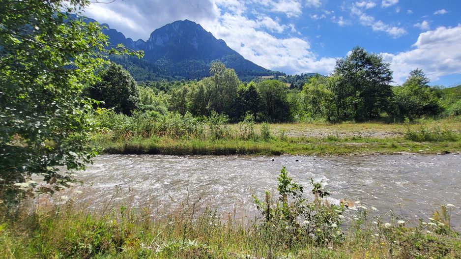 Plaiul Foii, teren pretabil casă de vacanță, pensiune, comision 0% - Poză 1