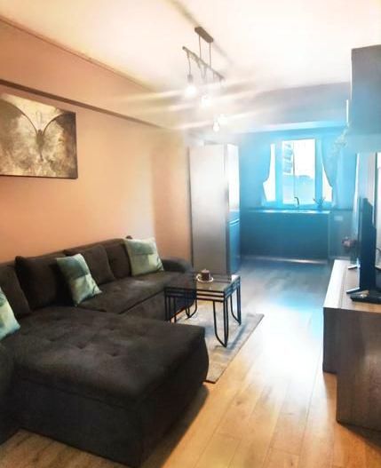 Apartament 2 camere , mobilat si utilat , Grozavesti - Novum Residence - Poză 3