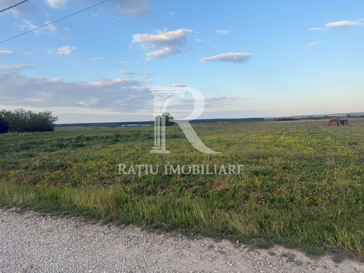 Teren extravilan | Păușa | Bihor - Poză 5