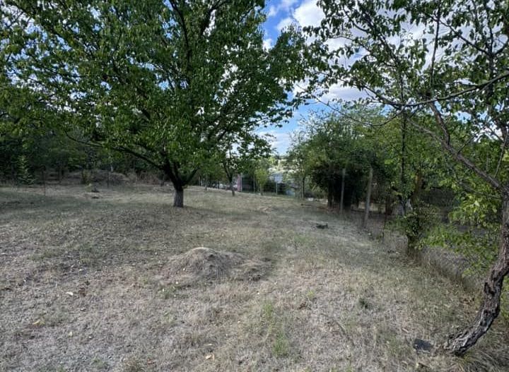 DE VANZARE Teren intravilan Comuna Daia,Jud Giurgiu - Poză 2