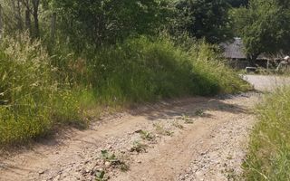 Teren 40.000 mp-ideal investitie-Slatinita - Poză 4
