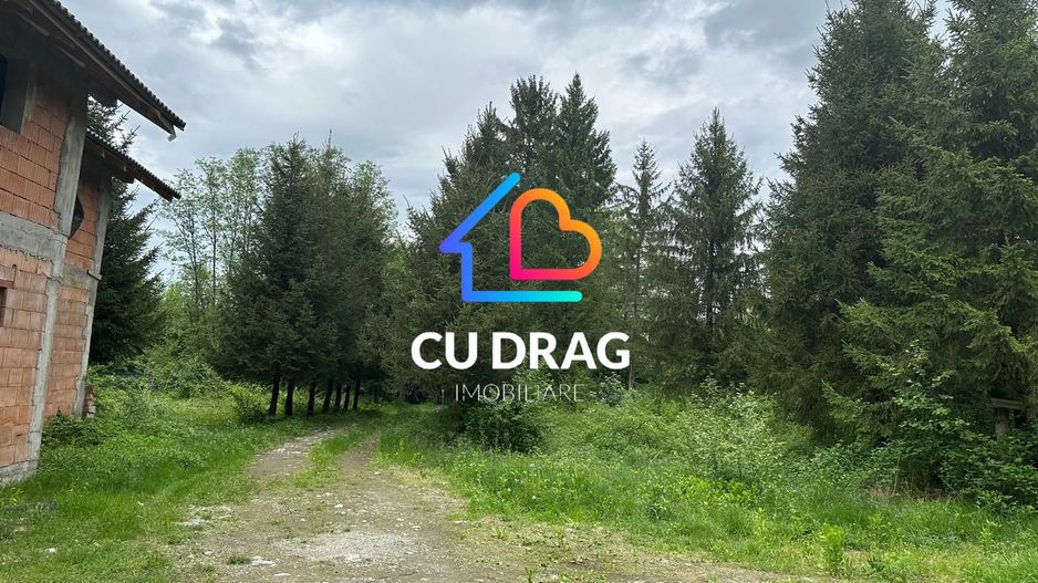 Investiție cu suflet: Pensiune de vânzare pe Valea Avrigului - Poză 1