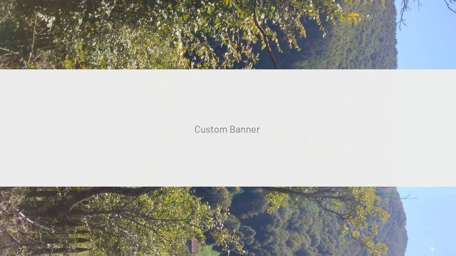 vând cabană Muntele Săcelului - Poză 2