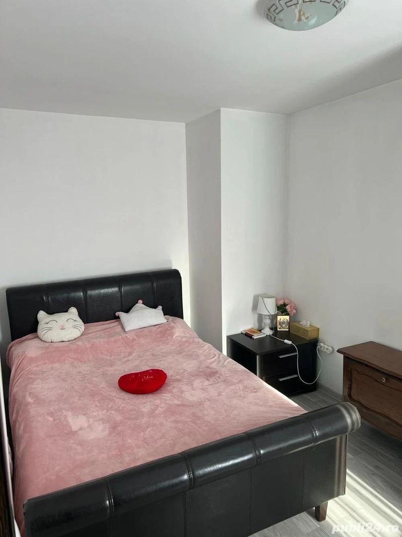 Apartament cochet cu doua camere, Tineretului-Sincai, 148.000€ - Poză 4