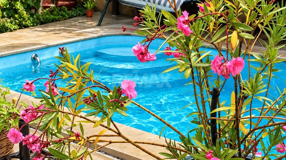 CASĂ CU PISCINĂ, SAUNĂ ȘI VEDERE PANORAMICĂ – TOHATIN - Poză 34