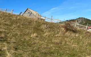 Teren Fundatica intravilan 4500 mp - Poză 10