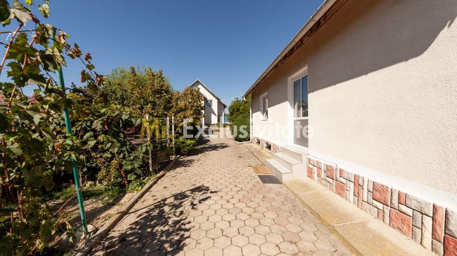 Casa visurilor cu 4000 mp livada roditoare si gradina Darmanesti-Arges - Poză 12