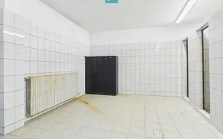 Hale 1800 mp fiecare – acces autostradă, Teiu, HD - Poză 15