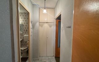 2 Camere Campia Libertatii Pet friendly - Poză 13