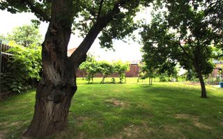 🏡 Casă individuală – zona Crișan, Timișoara ✨ - Poză 6