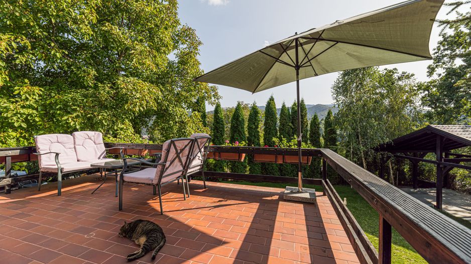 Vila de lux,  de inchiriat! Drumul Poienii! - Poză 55