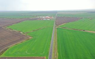 Teren industrial Dudestii Noi - Poză 1