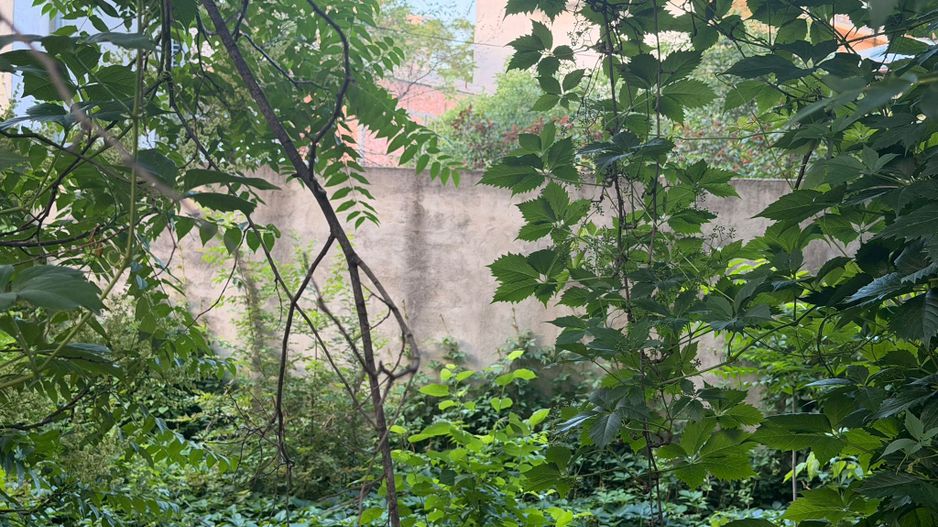 URGENT!, teren liber de constructii, dubla deschidere, NEGOCIABIL - Poză 2