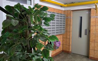 Apartament spațios cu 4 camere Crangasi - Poză 16