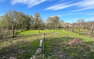 Casă de vânzare în Călanul Mic –  2 clădiri, curte, grădină, garaj - Poză 17