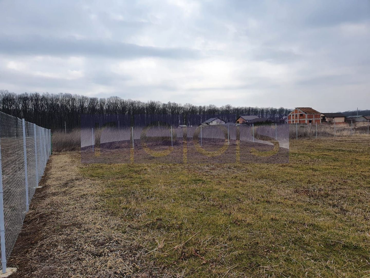 VANZARE TEREN 1500 MP| GHERMANESTI | PADUREA SNAGOV - Poză 3