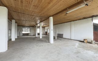 Clădire Industrială Hală Producție, Depozitare, Birouri-Teren 3140 mp - Carei - Poză 9