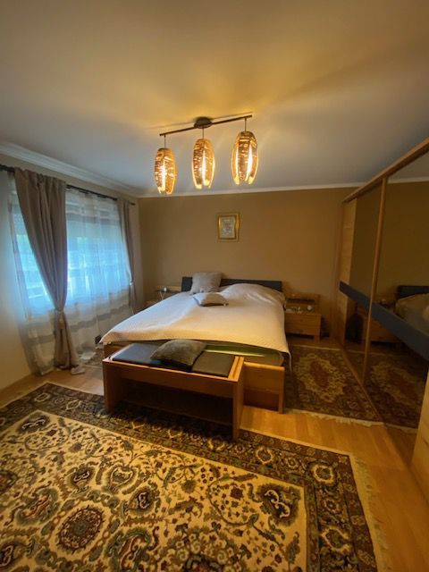 Duplex cu piscina Dumbravita Zona PADURE - Poză 20