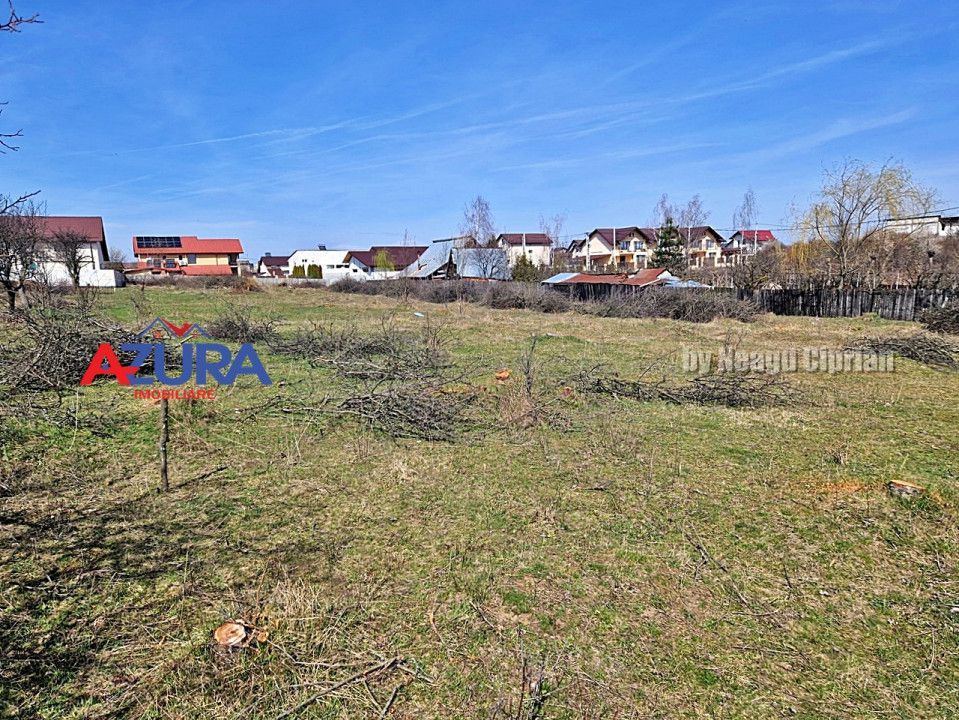 Vanzare teren constructii, Smeura, Prunilor - Poză 2