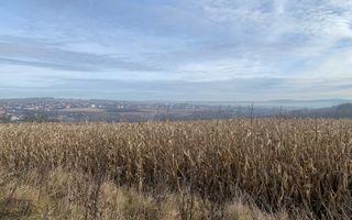 Teren intravilan de vânzare | Cajvana | 7.800 mp - Poză 8