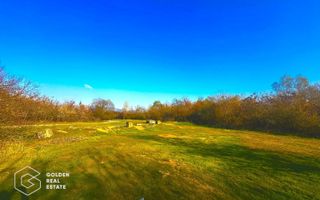 Teren intravilan 71.000mp, Barsa, Renumita Fabrica de caramida si casa 4 camere - Poză 5