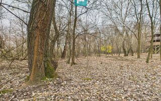 Teren spectaculos la  Periam Port - Poză 27