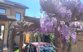 COICIU (Cod 01) Armonie și Eleganță pentru Două Generații! - Poză 42