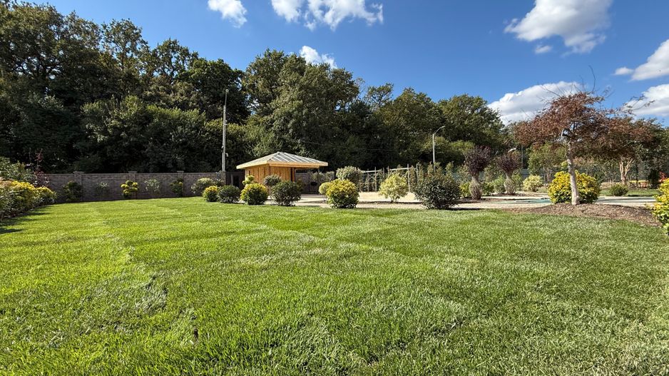 Vila Deosebita la Marginea Padurii Tunari | 548mp Utili |Teren 1.568mp - Poză 3