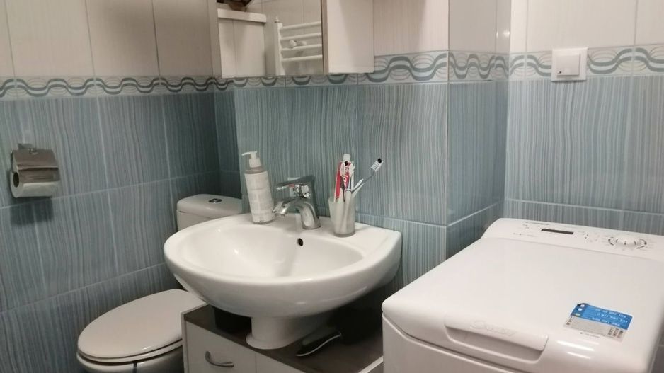 Apartment Sala Palatului/Cismigiu - Poză 7