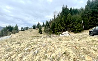 Teren intravilan 3039 mp-Parcelabil-ponton-Colibita Exclusiv - Poză 3