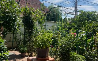 Vila S+P+1+M Lapus, str Paunitei - Poză 24