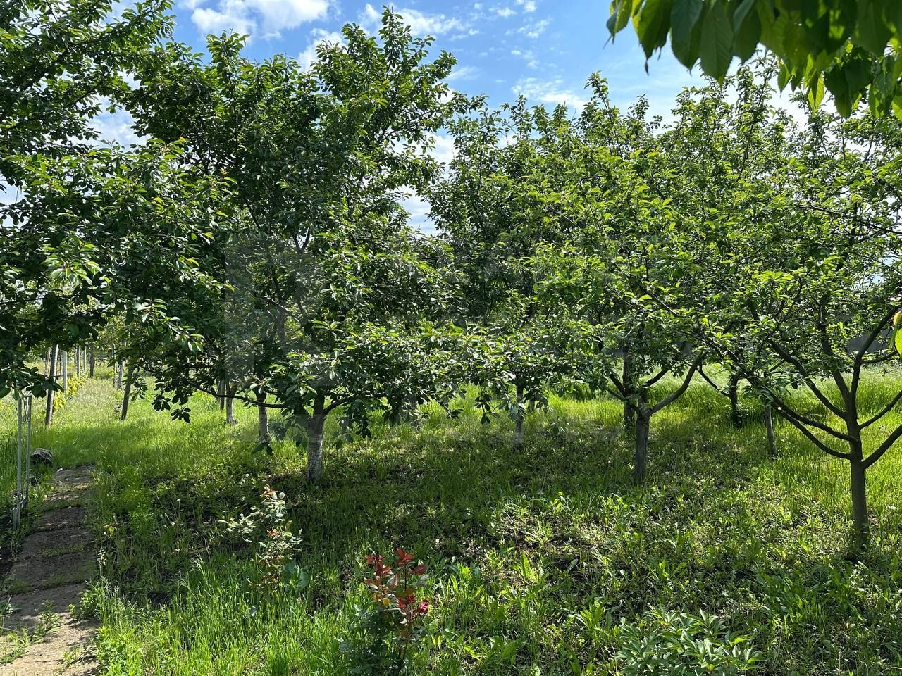 Vânzare, casă,115 mp + 18 ari, sat Corlăteni, Rîșcani - Poză 17