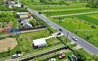 Proprietate deosebită de vânzare – Drăganu, Argeș - Poză 7