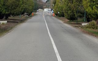 Spre Vanzare- Vila-1 Decembrie, Ilfov, cartier rezidential. - Poză 4