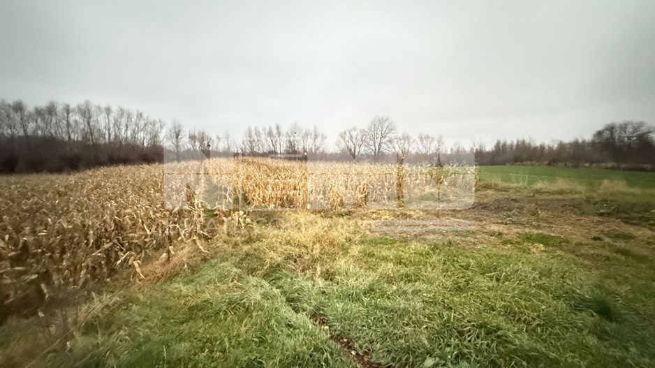 VAND CASA IN MARGINEA | 114.000 EURO NEGOCIABIL | - Poză 26