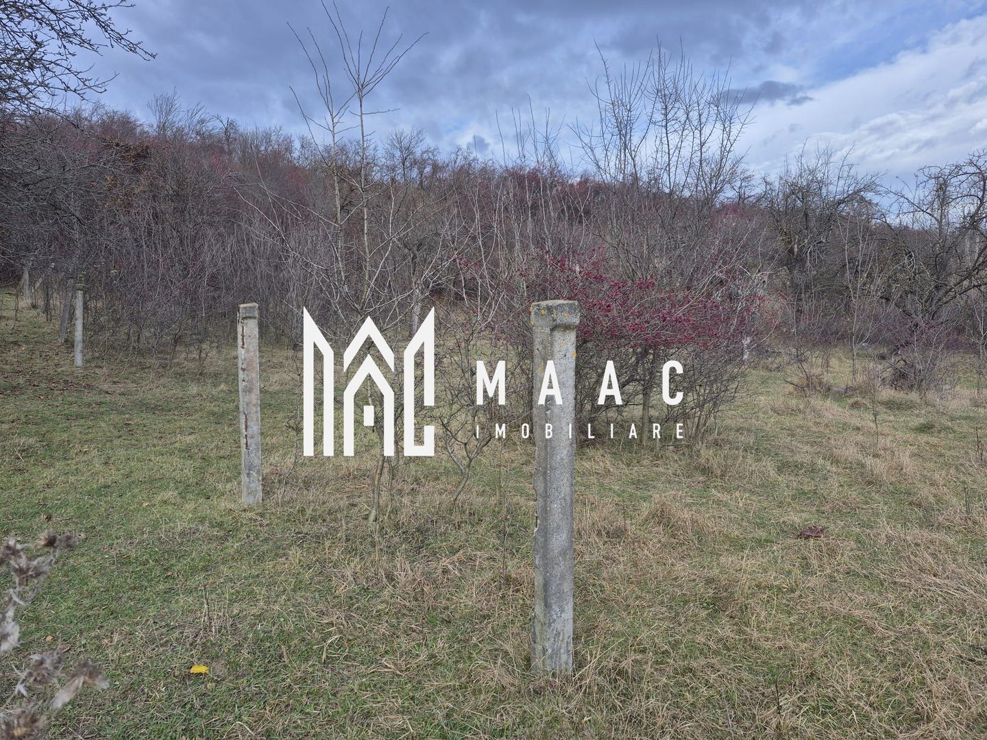 Teren de vanzare | Orlat | Extravilan - Poză 6