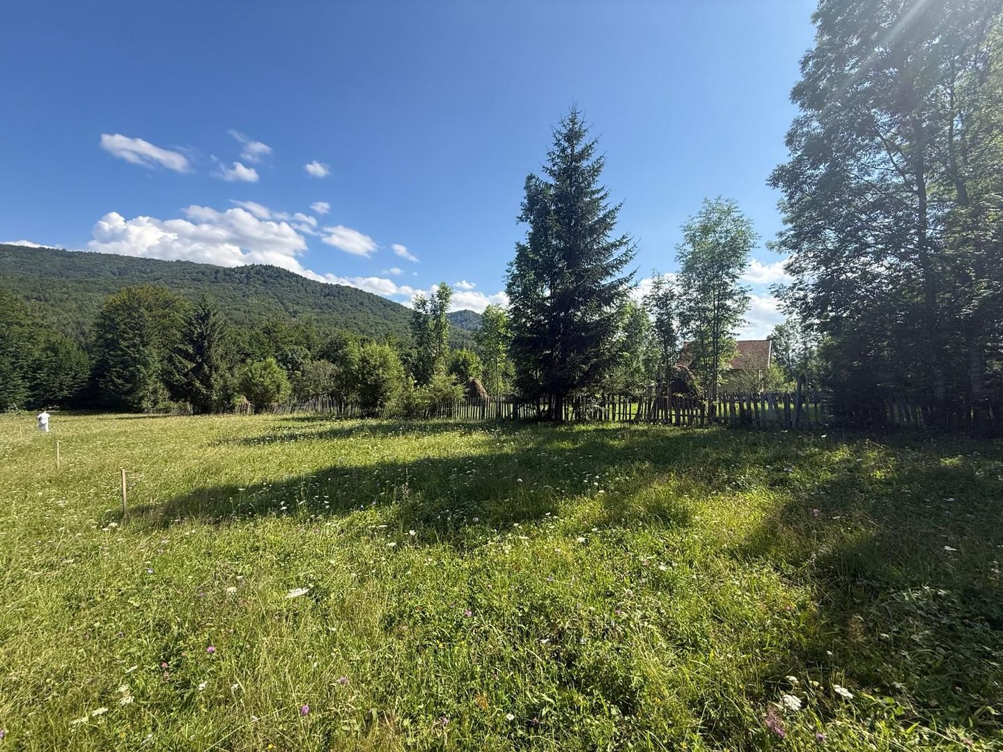 Teren intravilan 1662 mp pozitie superba-Calea Brasovului Valea Neagra - Poză 2