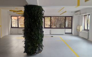 INCHIRIERE VILA P+2 | ZONA UNIRII- Natiunile Unite - Poză 12