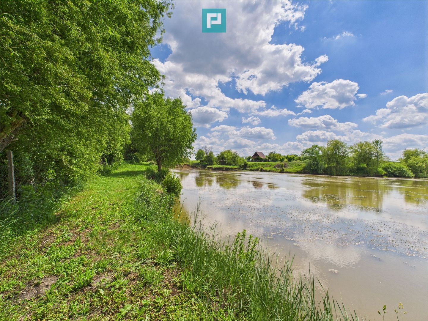 Teren cu baltă- oportunități multiple la Fibiș - Poză 25