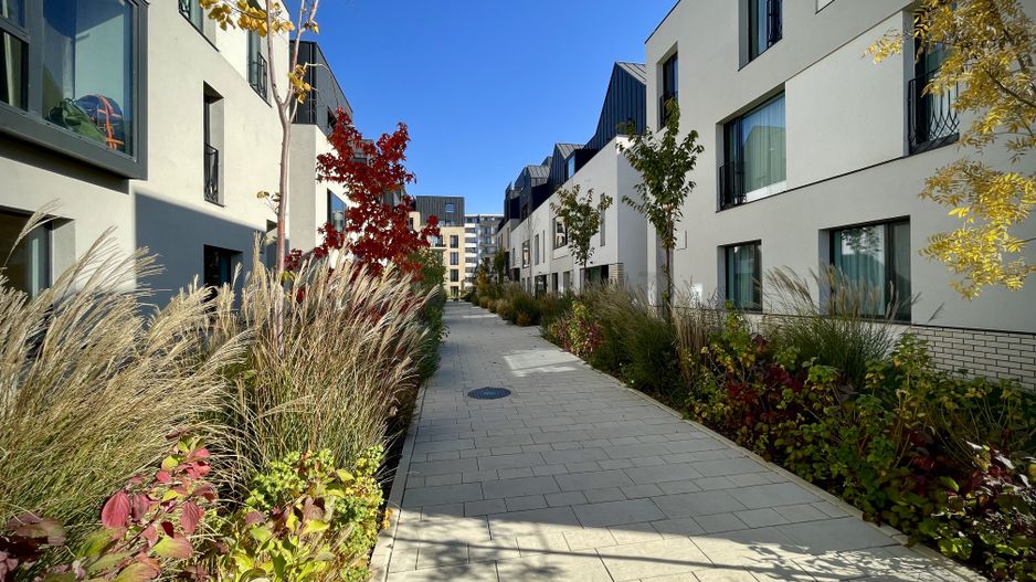 Vila 6 camere / Townhouse Avalon Estate - Poză 36