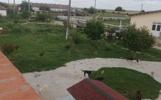 Ferma de vânzare - Poză 1