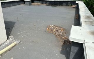 Vila noua, metrou Jiului - Poză 36