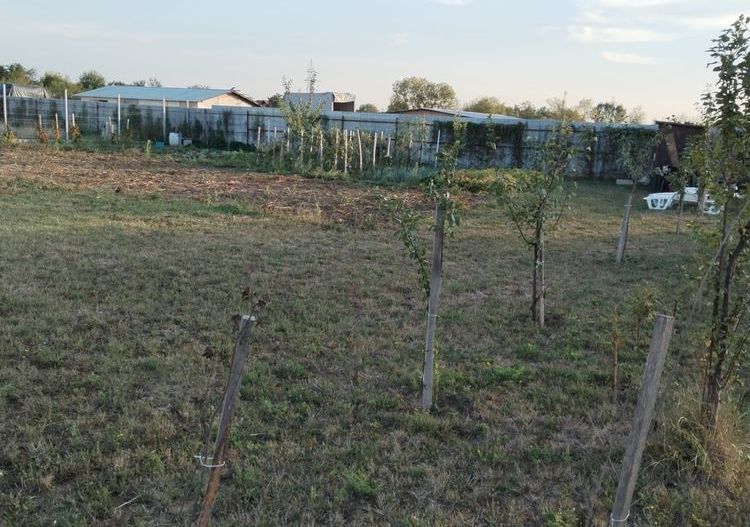 Vand teren intravilan Balta Blonda - Poză 3