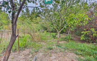 Casă modestă cu 3 camere în Aradul Nou - Poză 13