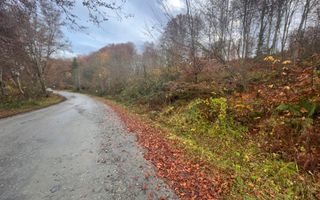 Oportunitate de investiție – Teren pentru hotel / pensiune pe Valea Avrigului - Poză 7