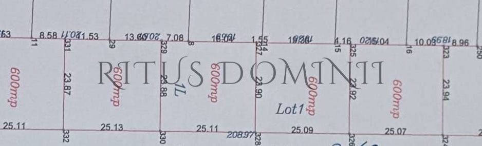 Teren Panoramic Superb, Paleu, Intravilan, 600-685mp - Schiță 3