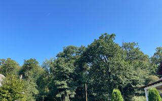 TEREN INTRAVILAN 1800 MP MIHAESTI ARGES COMISION 0 - Poză 5