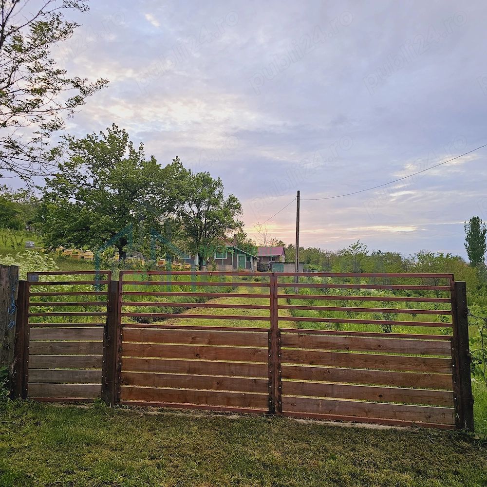Casă cu teren intravilan de 5000 mp, livadă tânără și vie productivă, în Roșu, comuna Răducăneni, județul Iași - Poză 9